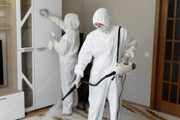 24/7 Emergency Odor Removal experts in Fayetteville, NY