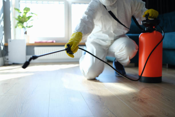 Reliable Odor Removal contractor in Fayetteville, NY by Trauma Clean Pros